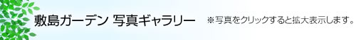 敷島ガーデン　写真ギャラリー※写真をクリックすると拡大表示します。