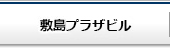 敷島プラザビル